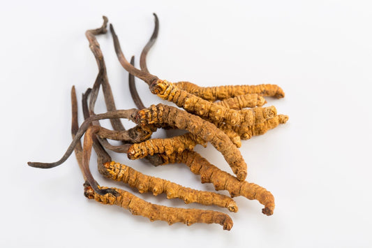 Cordyceps bei Cushing; EOTRH – Risiko oder Chance?