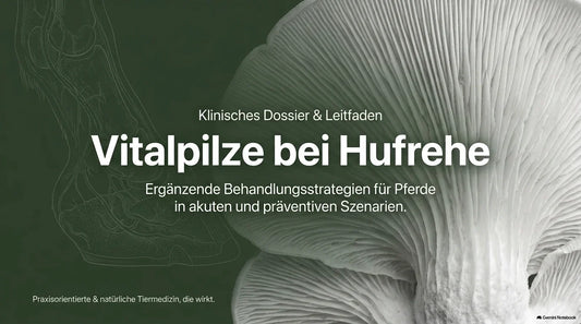 Vitalpilze bei Hufrehe:  Ergänzende Behandlungsstrategien für Pferde