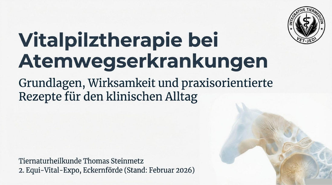 Vitalpilztherapie bei Atemwegserkrankungen
