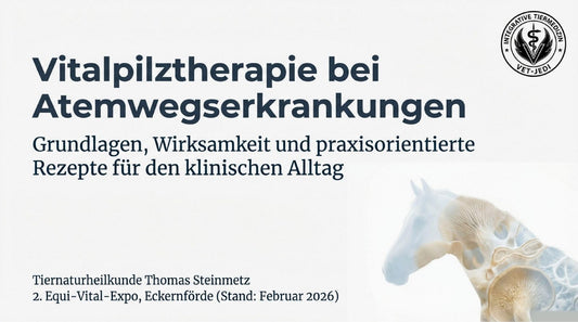 Vitalpilztherapie bei Atemwegserkrankungen