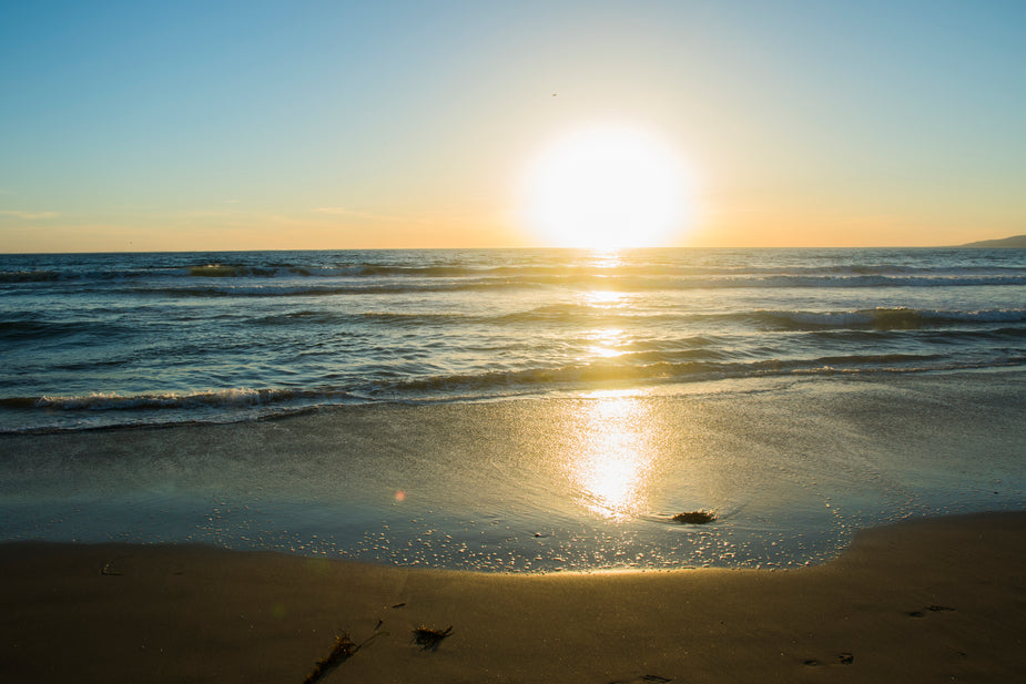🌞 Sonnenpilze - Natürliche Vitamin D Supplementierung