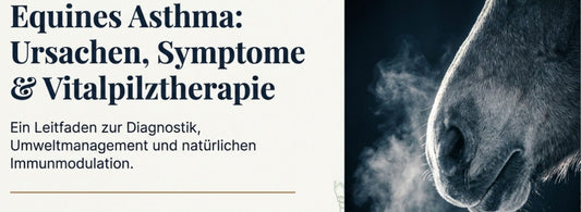Leitfaden Vitalpilztherapie bei Equinem Asthma & infektiösen Atemwegserkrankungen