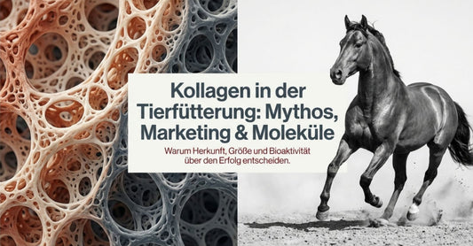 Kollagen beim Tier: Mythos und Wirklichkeit