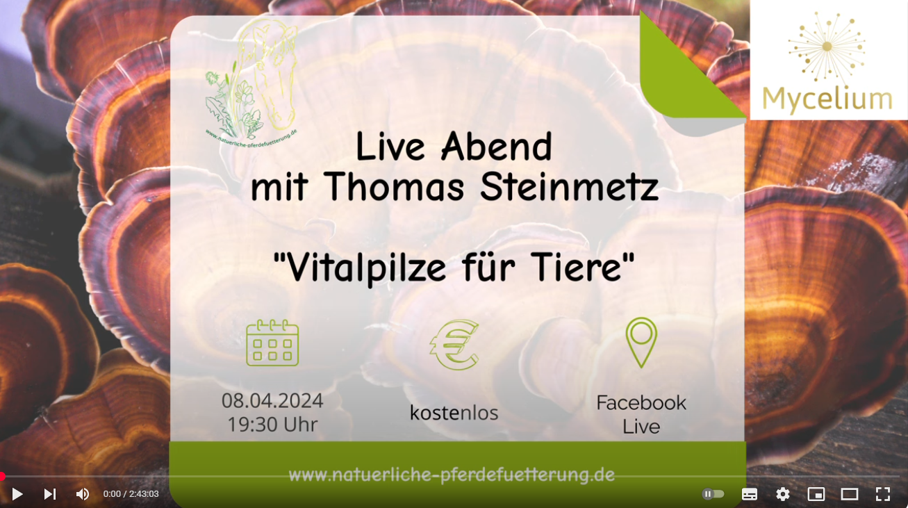 Video laden: Screenshot des Livestream-Videos ‚Vitalpilze in der natürlichen Pferdefütterung‘ mit Dr. Tom Steinmetz. Im Bild: Dr. Steinmetz spricht über sichere Anwendung, Dosierung, Wirkung und Kontraindikationen von Vitalpilzen bei Pferden – praxisnah und fundiert erklärt.
